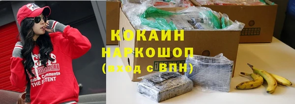 ПСИЛОЦИБИНОВЫЕ ГРИБЫ Волосово