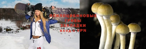 экстази Горняк