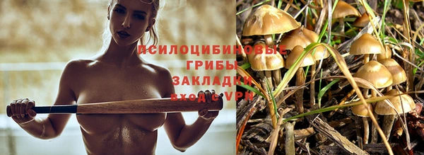 экстази Горняк