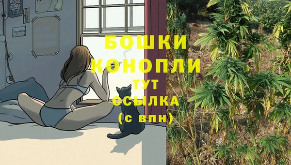стафф Гусев