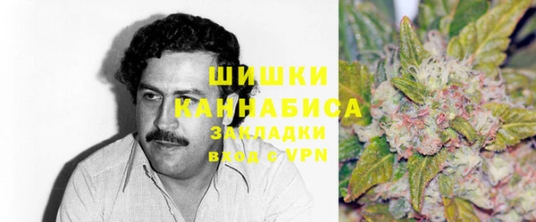 ПСИЛОЦИБИНОВЫЕ ГРИБЫ Волосово
