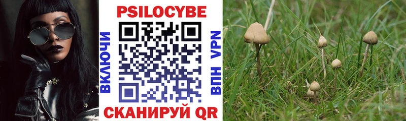 цены   Железногорск-Илимский  Псилоцибиновые грибы мицелий 